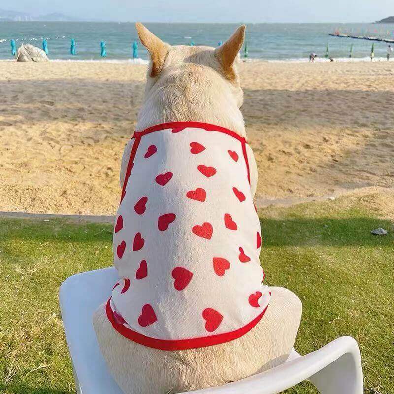 Dog Summer Sunscreen Heart Prints Shirts- Frenchiely 