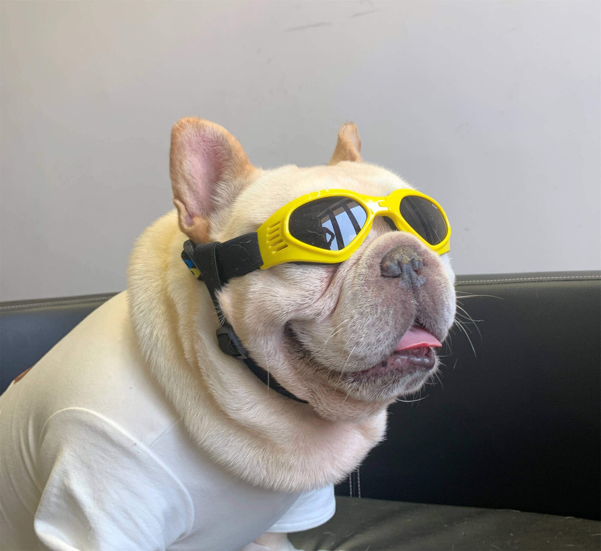 Dog Sunglasses goggles for small medium dogs bulldogs