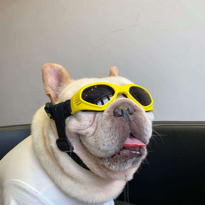 Short Snout Dog Sunglasses - Updated Version - Frenchiely