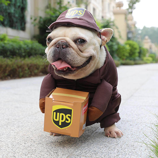 Dog USPS UPS Costume for Small Medium Dogs by Frenchiely