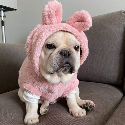 Dog Panda Piggy Costume - Frenchiely