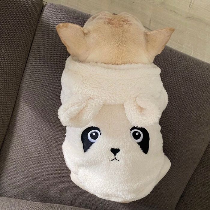 Dog Warm Panda Piggy Hooded Coat by Frenchiely 