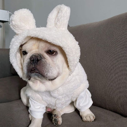 Dog Panda Piggy Costume - Frenchiely