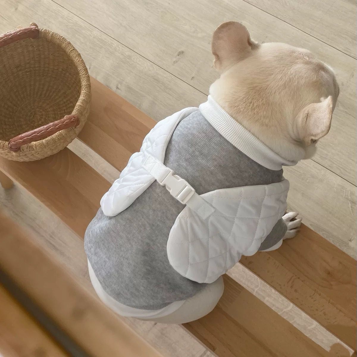 Dog Warm Pullover Coat for small medium dogs 