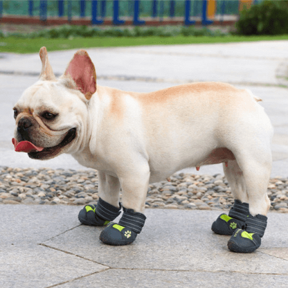 French bulldog shoes best sale
