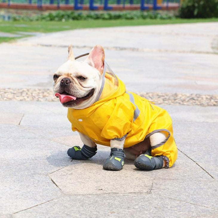 Dog Waterproof Rain Snow Boots Shoes Sneakers - Frenchiely