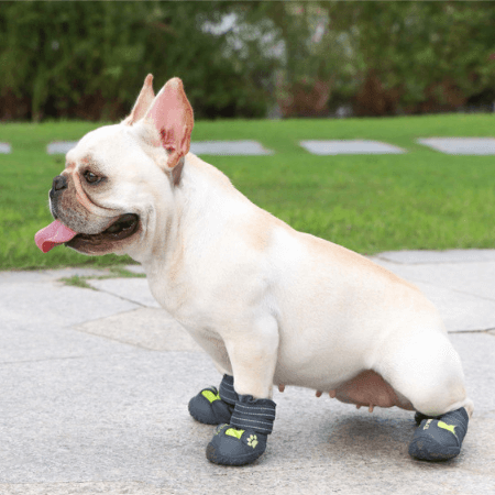 Dog Waterproof Rain Snow Boots Shoes Sneakers - Frenchiely