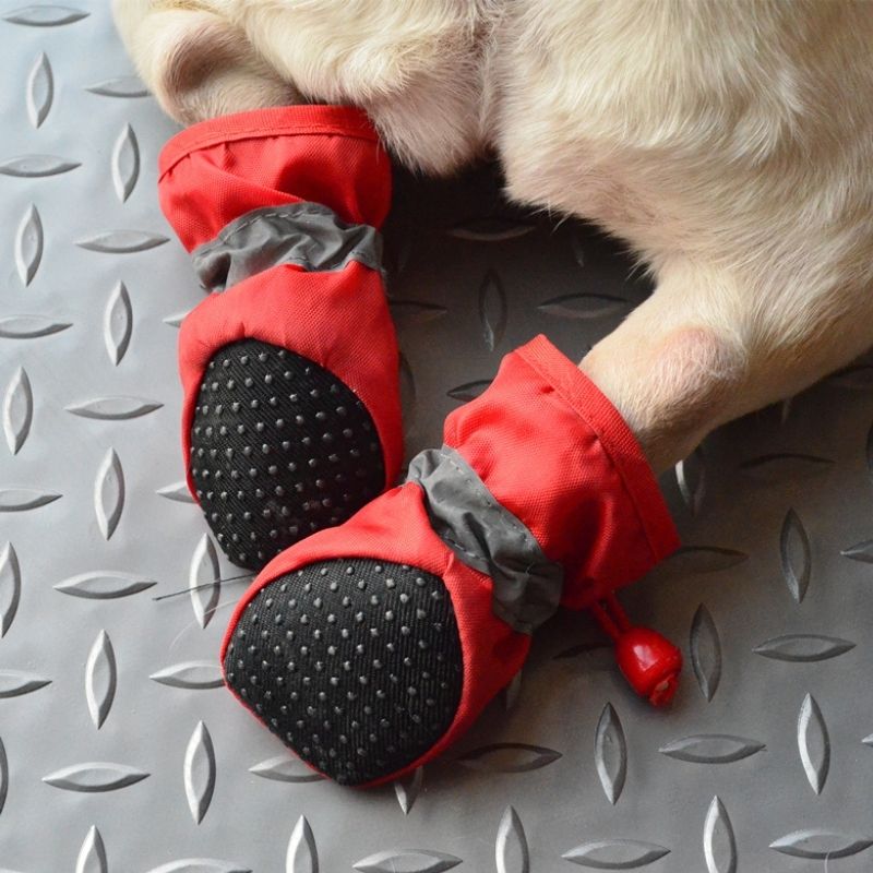 Dog Rain Snow Boots Shoes for Medium Dogs- Frenchiely