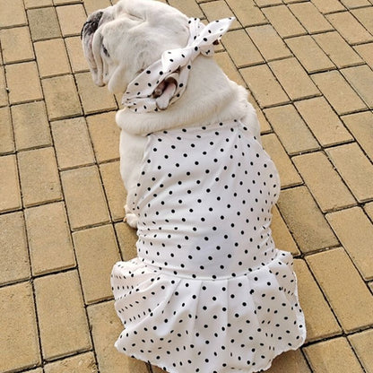 Dog White Polka Dot Dress with Headband - Frenchiely