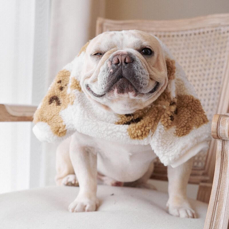 Dog Winter Bear Pullover Sweater for Medium Dogs
