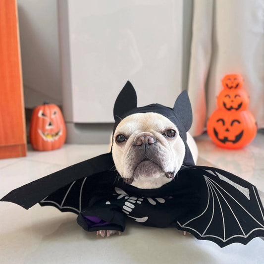 Bat Costume DogbatcostumeforhalloweenforsmallmediumdogbreedsbyFrenchiely_2