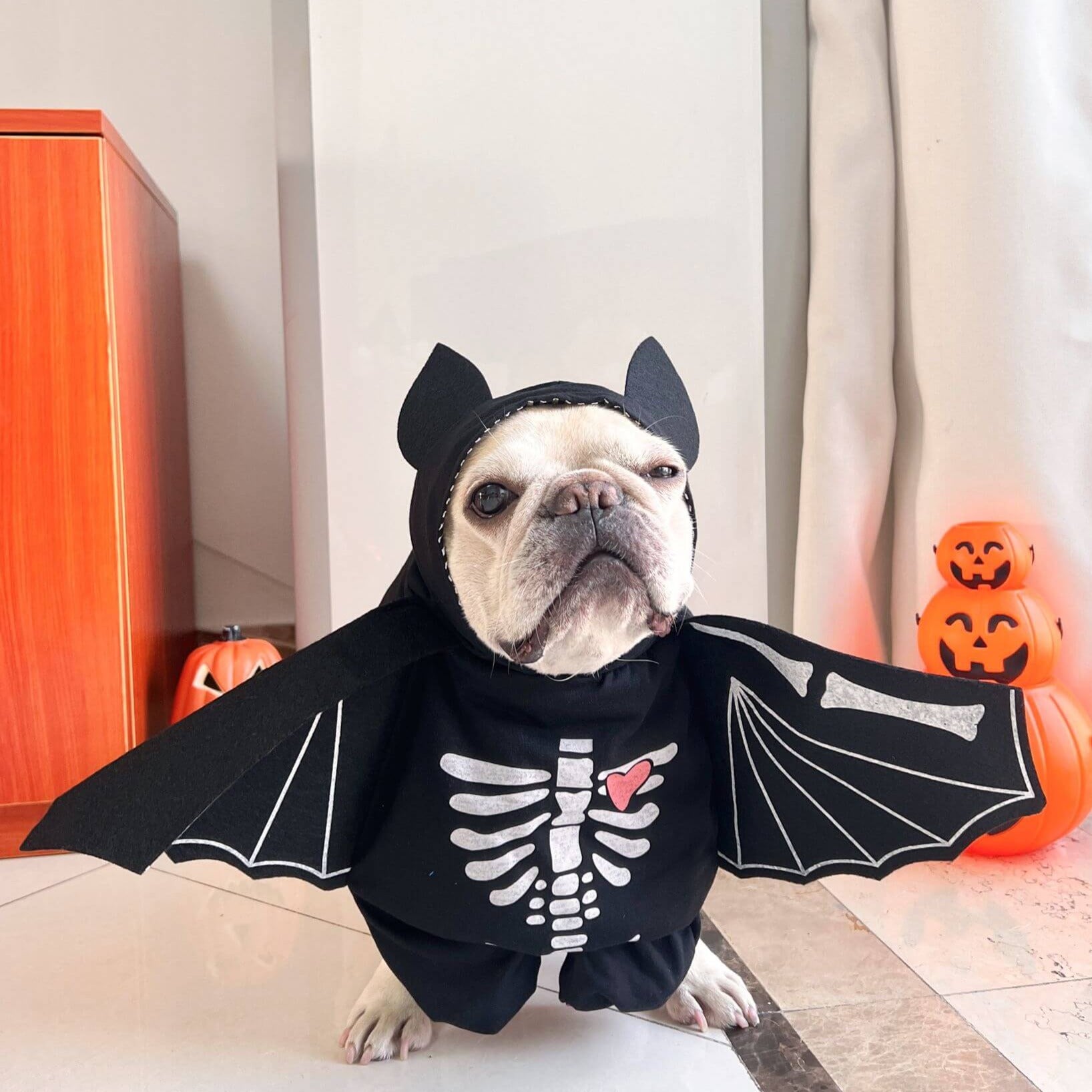 Dog Bat Costume for small medium dogs by Frenchiely