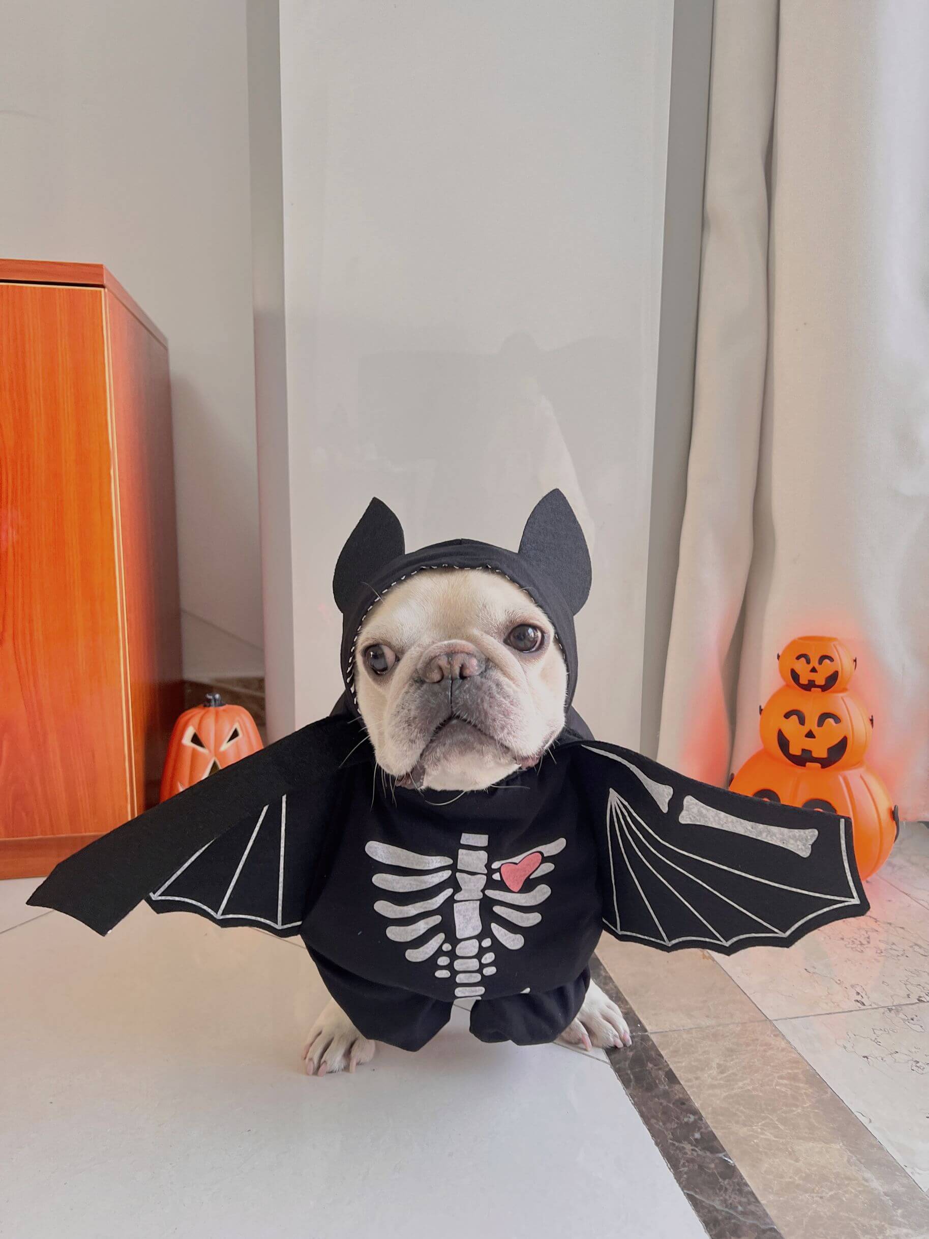 frenchiely french bulldog halloween costumes