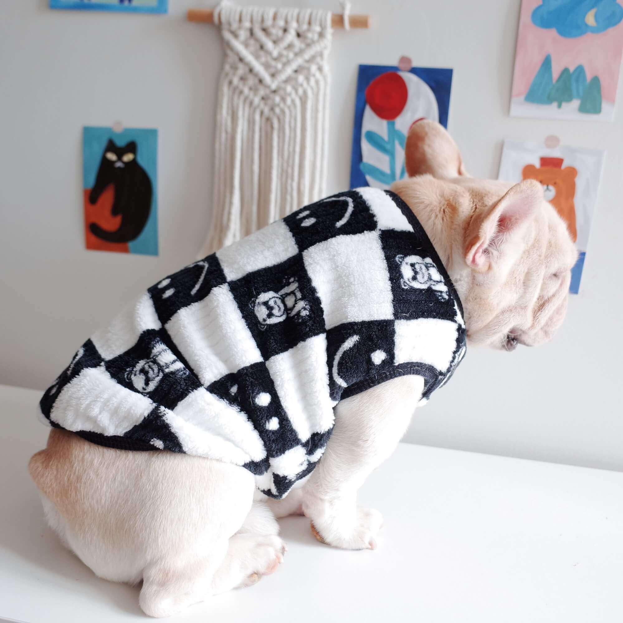 dog black sweater pullover 