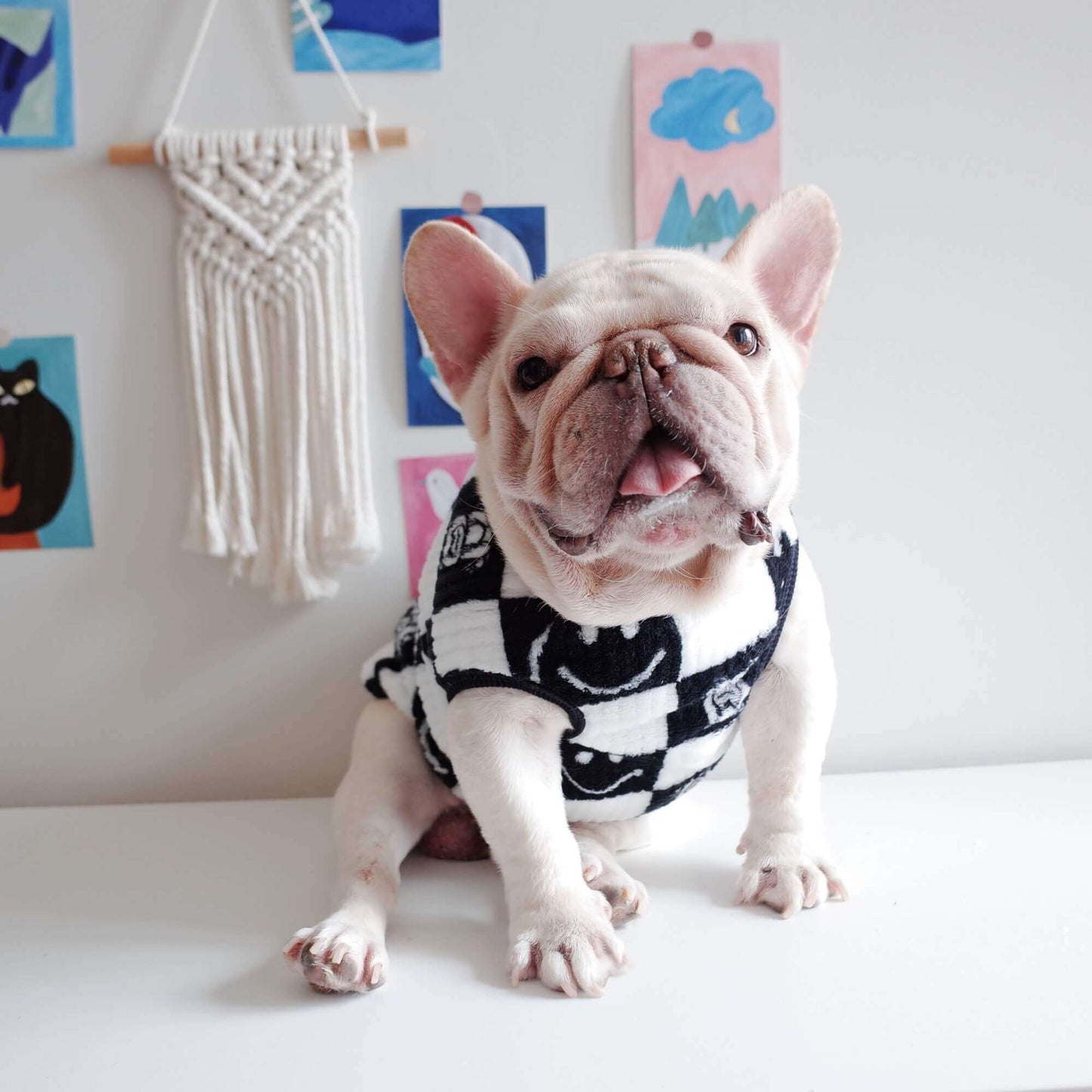 dog cheap shirts for small medium dogs by Frenchiely
