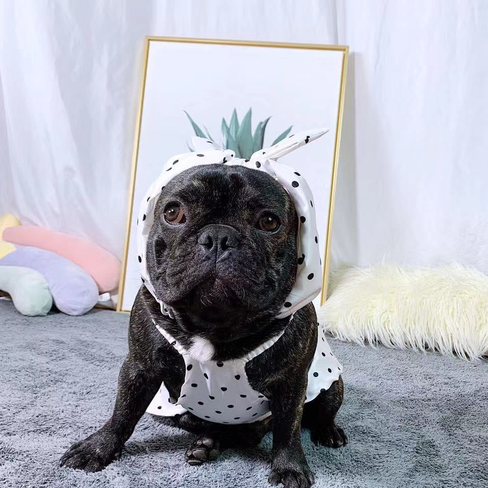Dog White Polka Dot Dress with Headband - Frenchiely