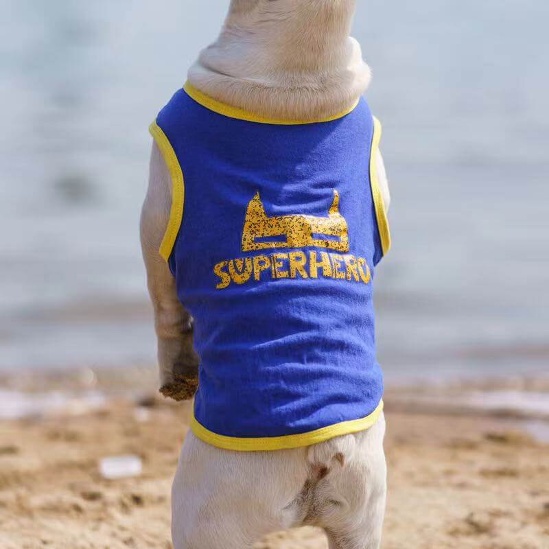 Affordable Dog Shirt for Medium Dogs by Frenchiely 