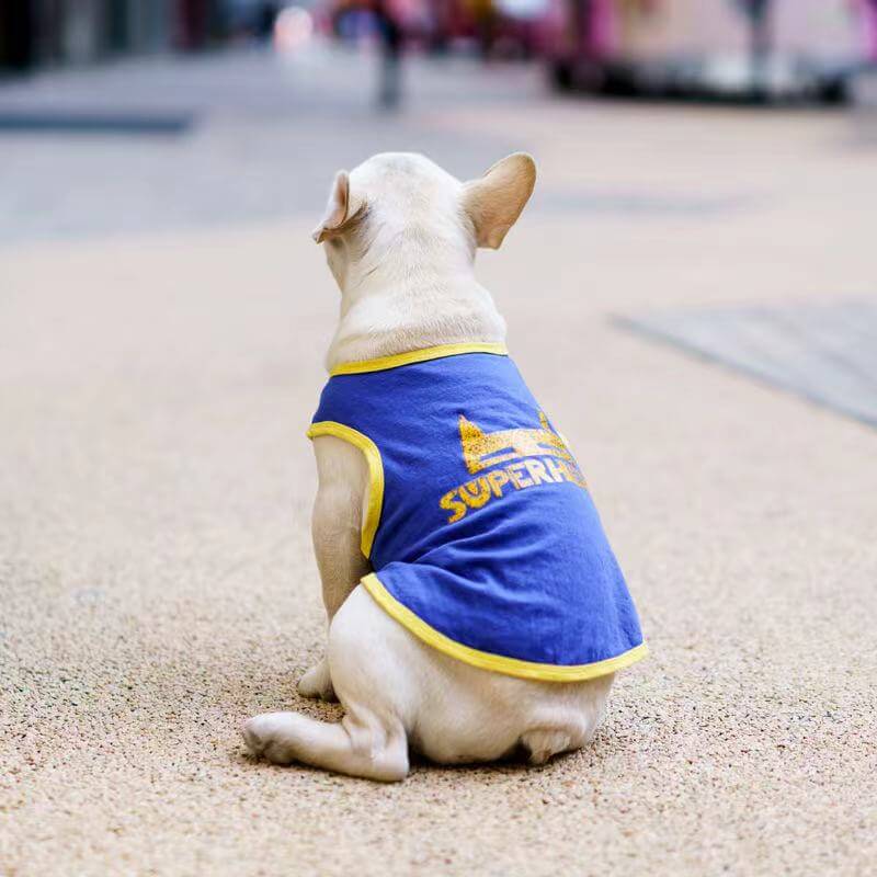 Affordable Dog Shirt for Medium Dogs by Frenchiely 