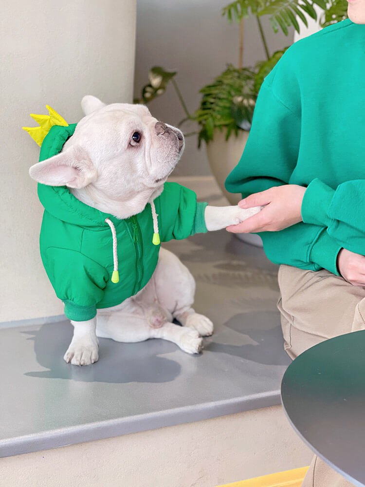 Dog Dinosaur Hooded Coat for small medium dog breeds