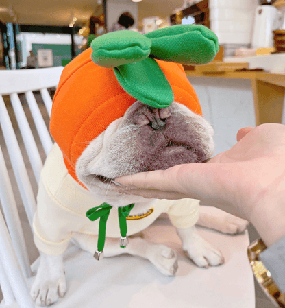 Dog Halloween Cartoon Carrot Costume Hoodies for small medium dogs by Frenchiely 01