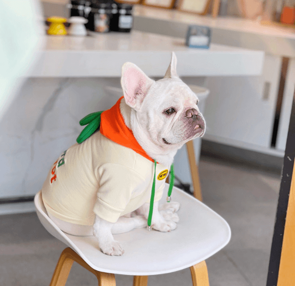 Dog Halloween Cartoon Carrot Costume Hoodies for small medium dogs by Frenchiely 01