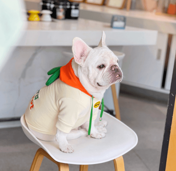 Dog Halloween Carrot Costume Frenchiely