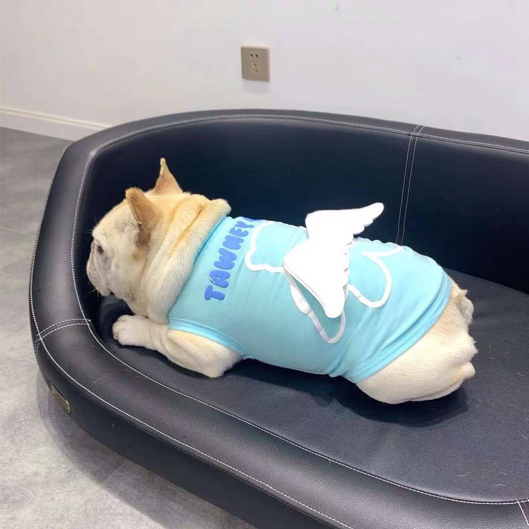 Dog Shirt with Angel Wing by Frenchiely 