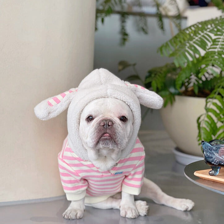Dog Pink Stripe Bunny Hoodie coat for small medium dogs by Frenchiely.com