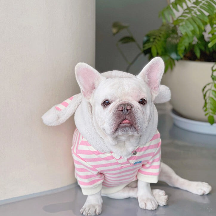 Dog Pink Stripe Bunny Hoodie coat for small medium dogs by Frenchiely.com