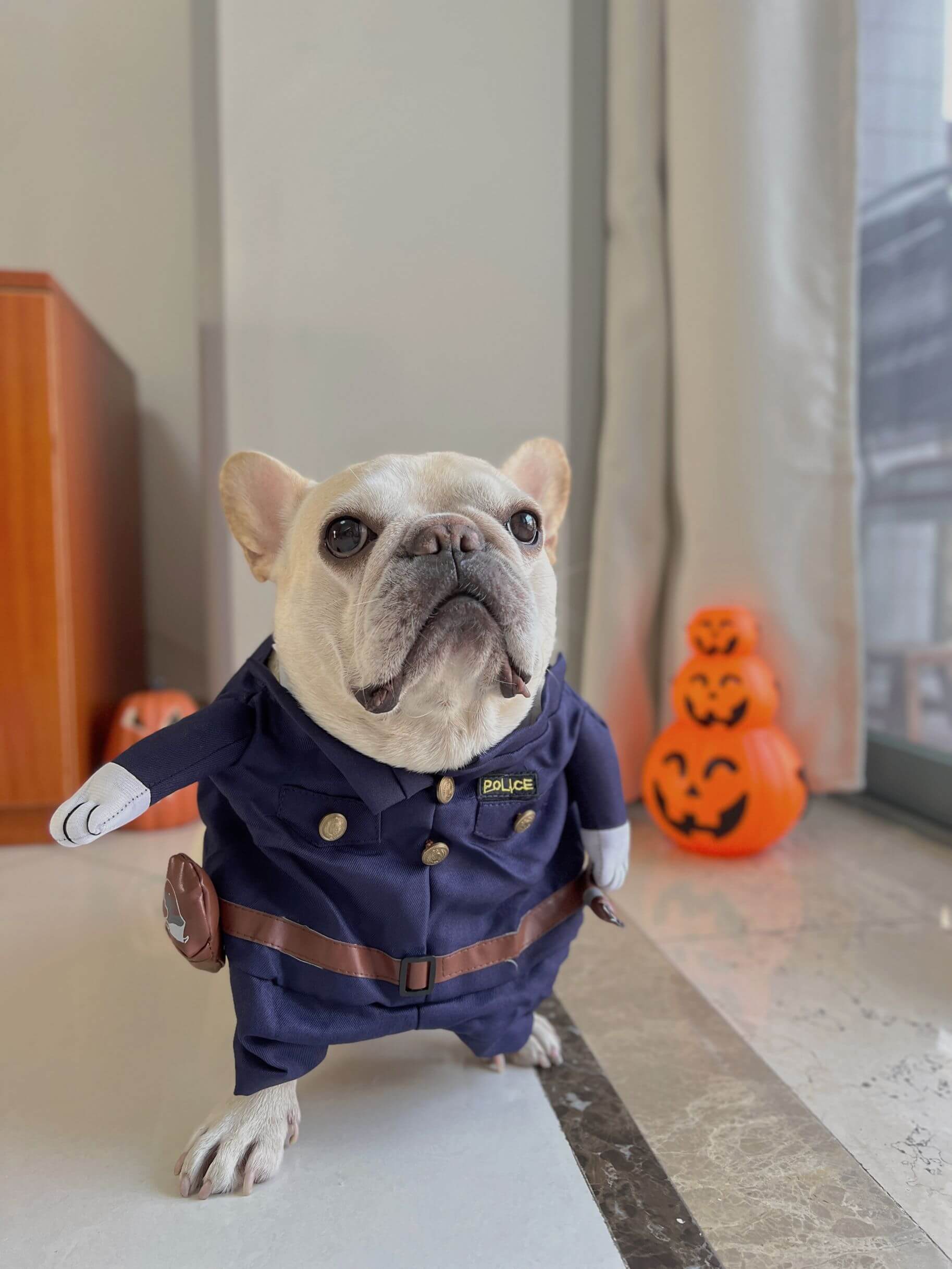 small dog police costume