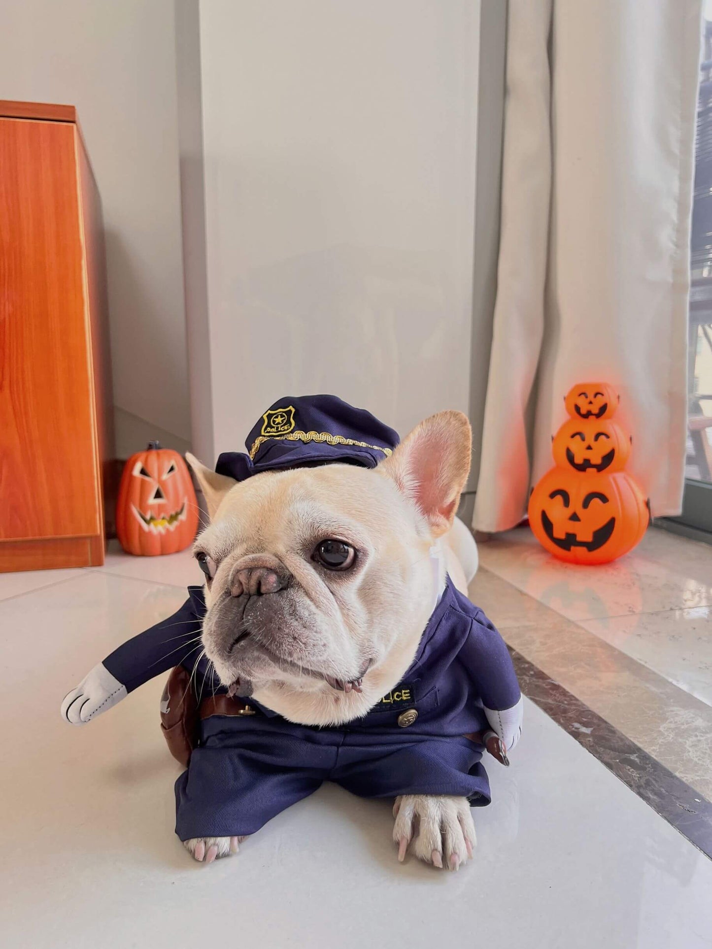 french bulldog halloween policeman costume