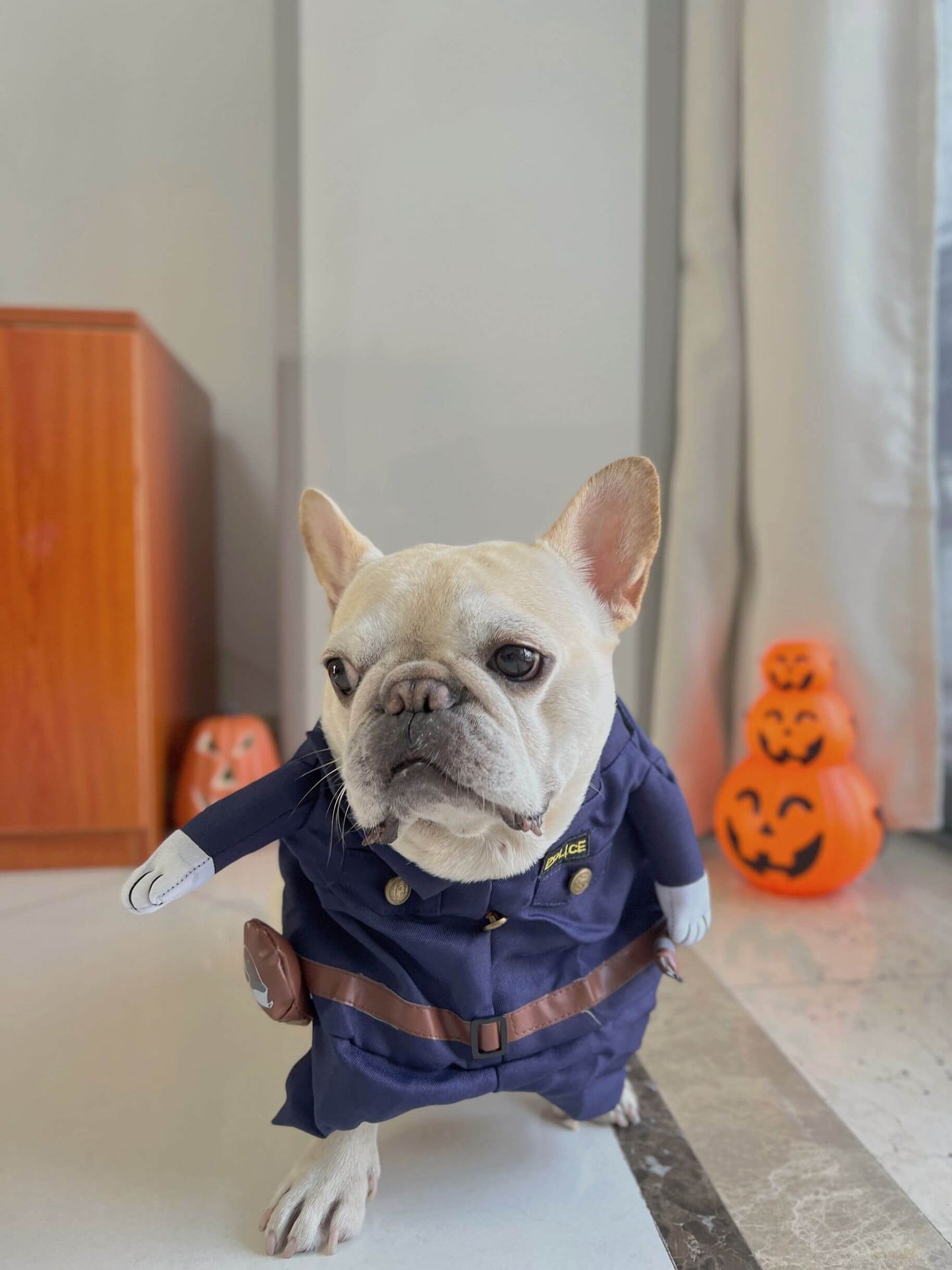 police costume for dogs with hat and necktie