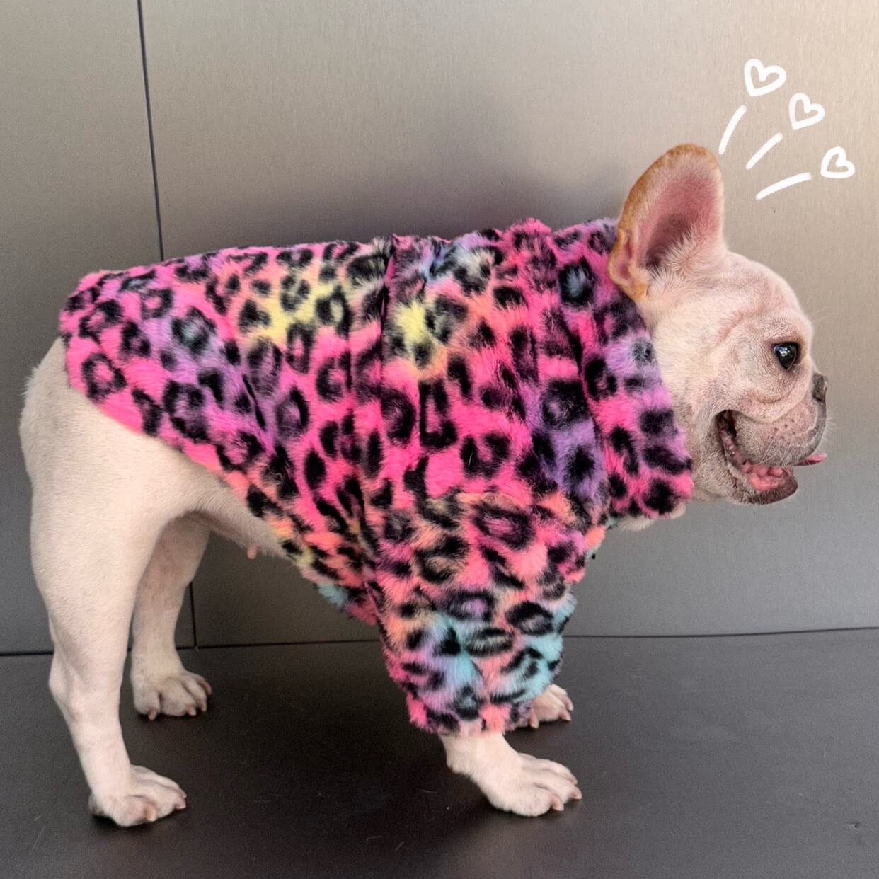 Dog Pink Leopard zipper up Jacket coat for 