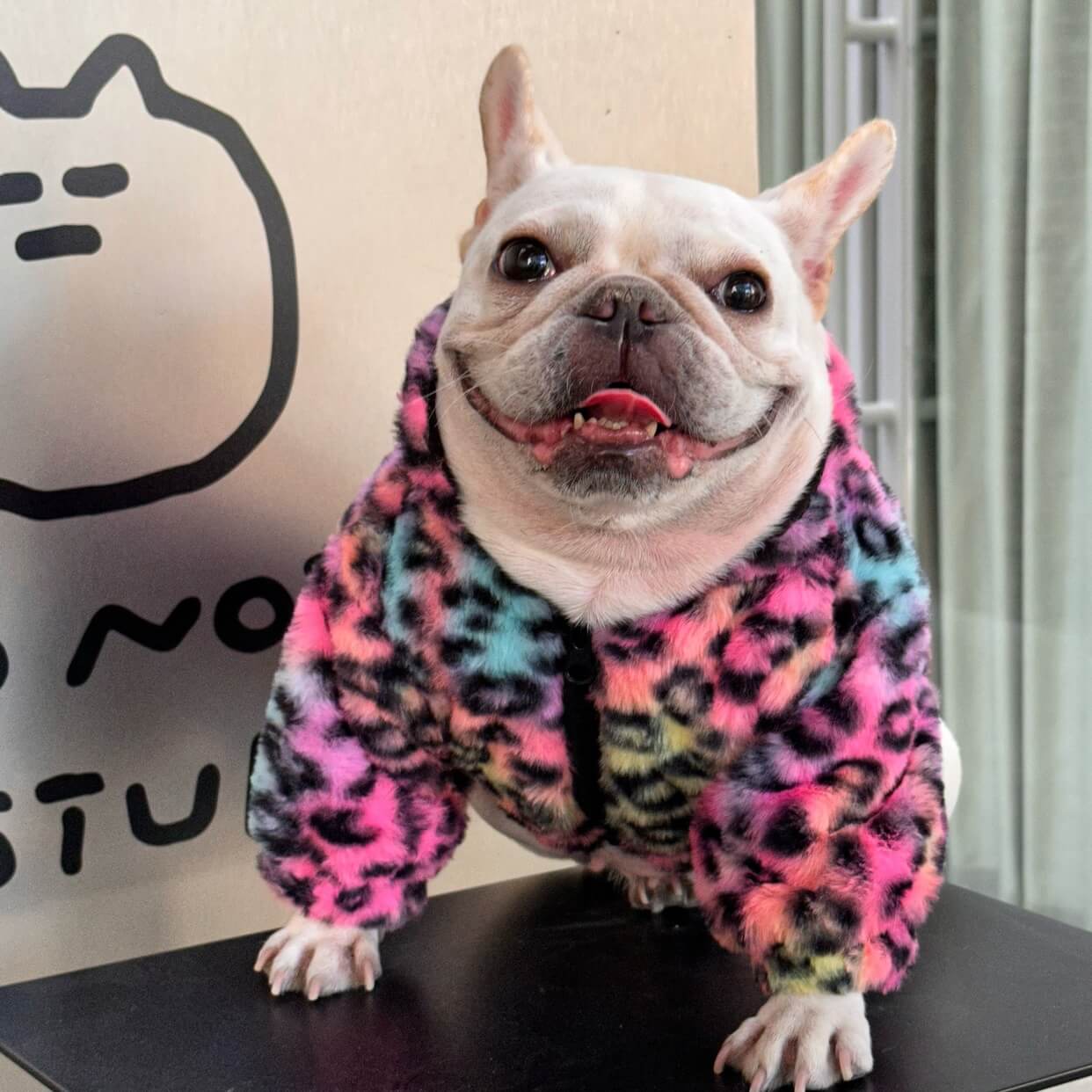 Dog Pink Leopard zipper up Jacket coat for 