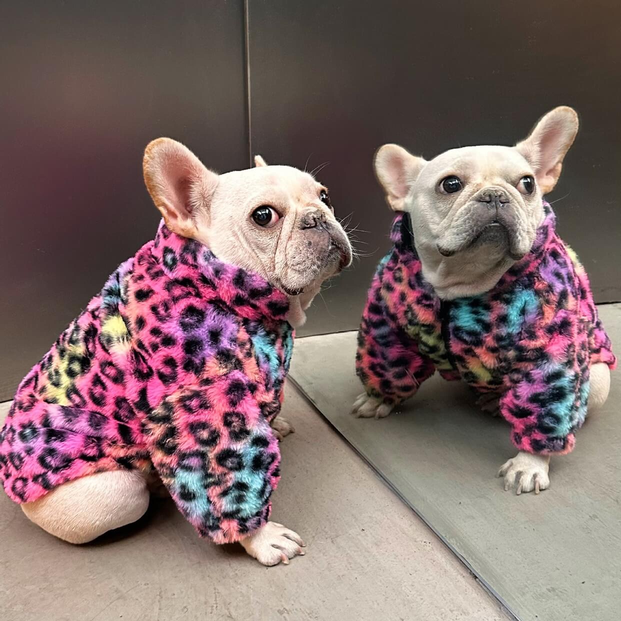 Dog Pink Leopard zipper up Jacket coat for 