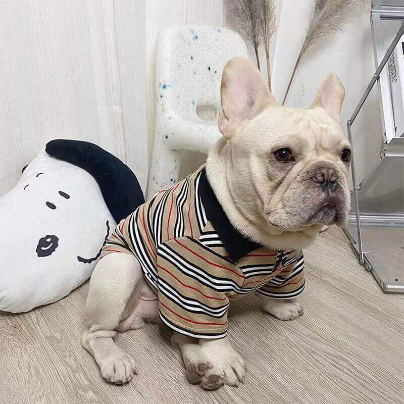 Dog Stripe Polo Shirt for Medium Dogs by Frenchiely