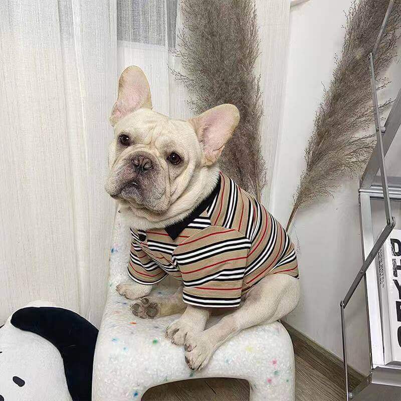 Dog Stripe Polo Shirt for Medium Dogs by Frenchiely