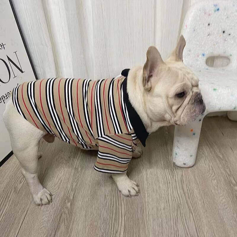 Dog Stripe Polo Shirt for Medium Dogs by Frenchiely