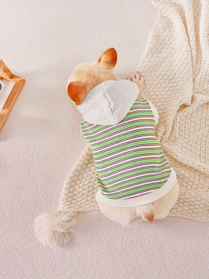 puppy french bulldog clothes