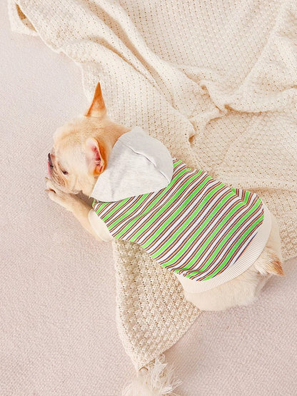 Dog green stripe hoodie sweatshirt