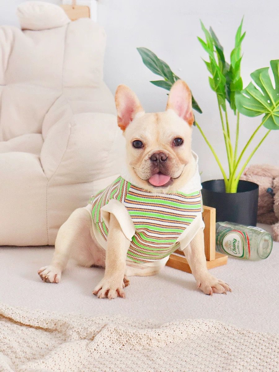 dog sweatshirt for medium dogs