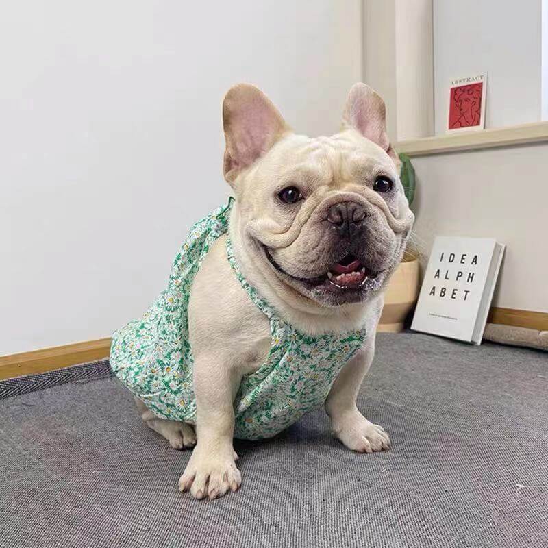 Dog Green Floral Flower Dress for Medium Dogs BY FRENCHIELY 