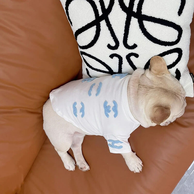 Dog White with Blue Super Warm Sweater for small medium dogs by Frenchiely
