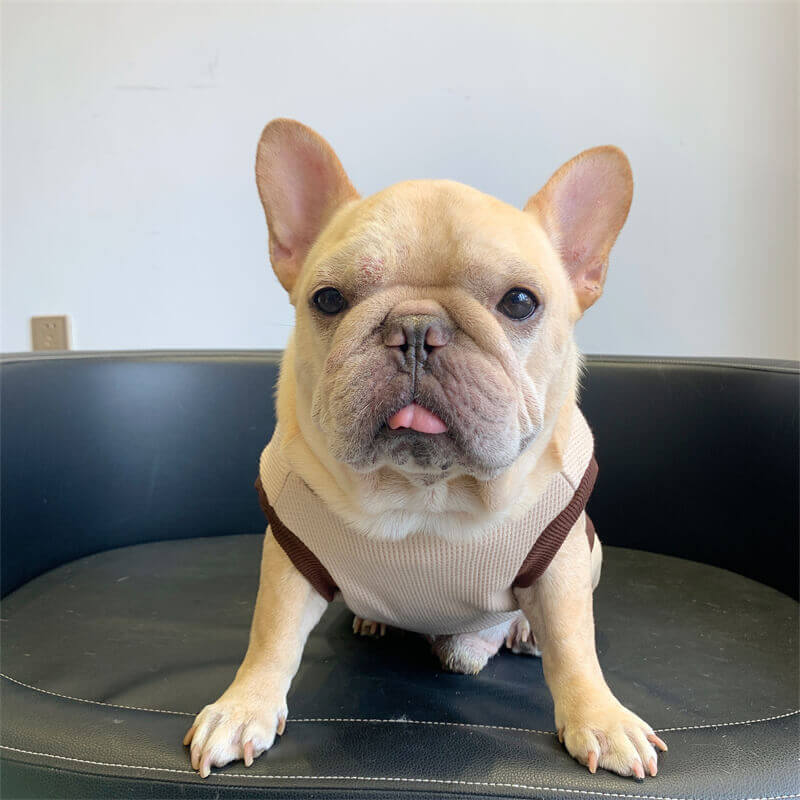 Frenchiely dog warm clothes for medium dogs