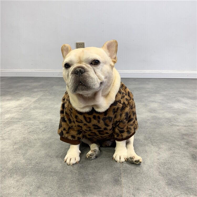 SUPER WARM Dog Sweater Frenchiely