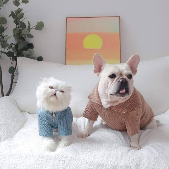 Dog Zipper Up Sweatshirt - Frenchiely