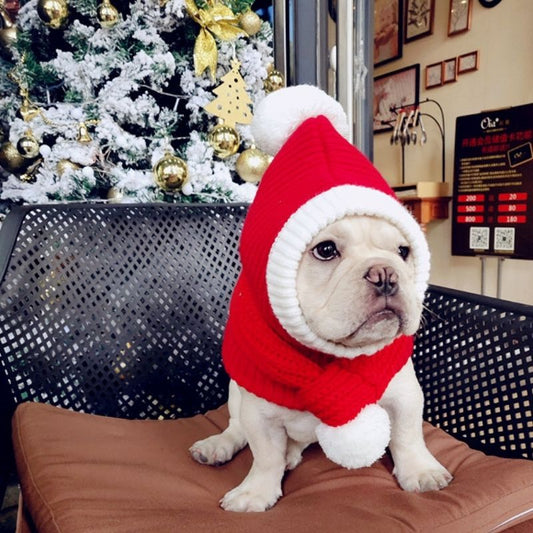 Christmas Pom Pom Scarf FRENCHIELYDogChristmasPomPomScarfforMediumDogs0