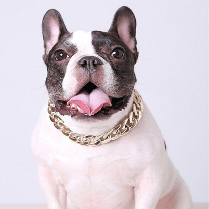 [Dog Goggle + Golden Collar + Bandana ]for Payment $120 - Frenchiely