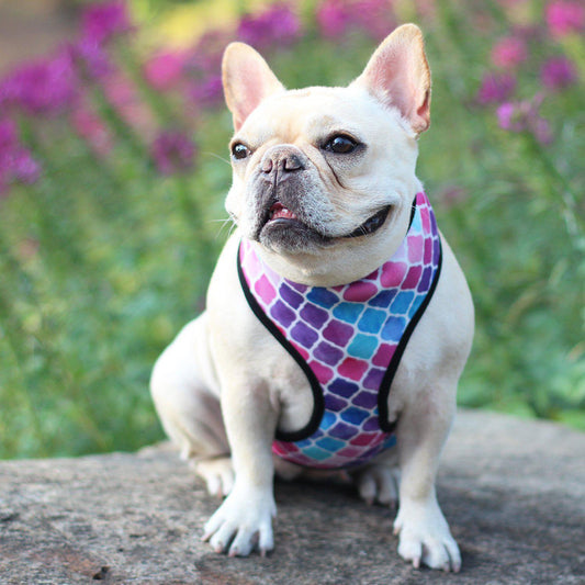 french bulldog mermaid harness vest mesh - Frenchiely