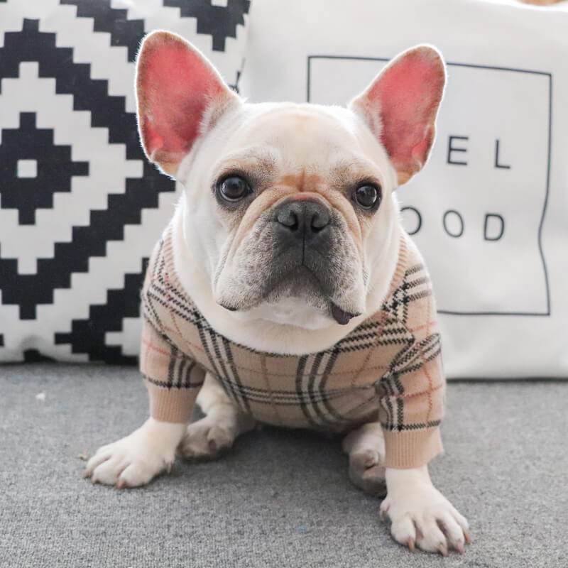 Frenchiely French Bulldog Beige Plaid Sweater Cardigan